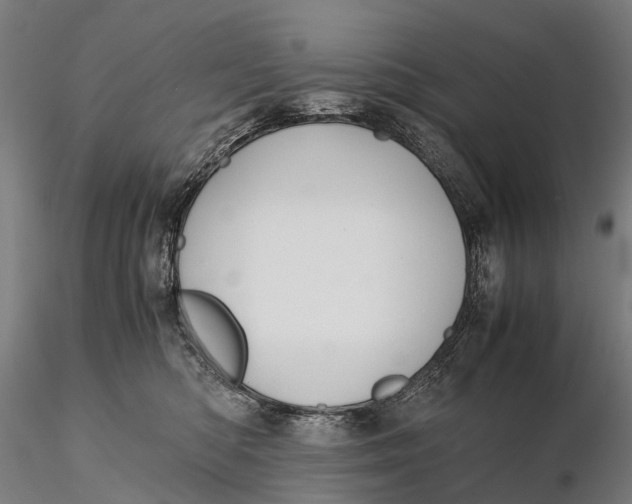 X0000115600422200912011531