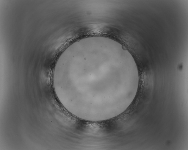 X0000115600423200912011531