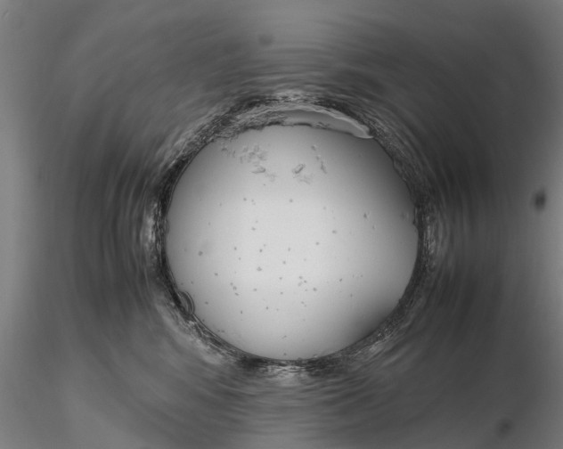 X0000115600424200912011531