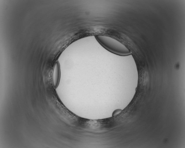 X0000115600425200912011531