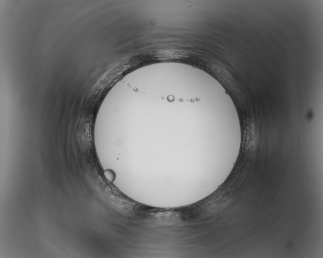 X0000115600426200912011531