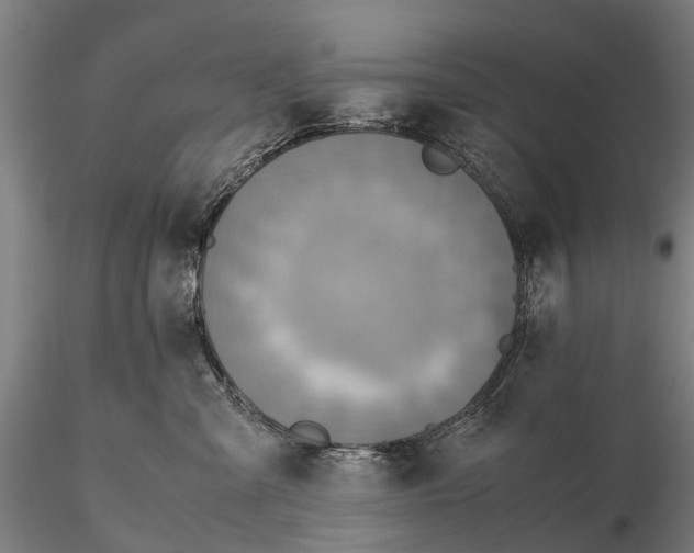 X0000115600427200912011531