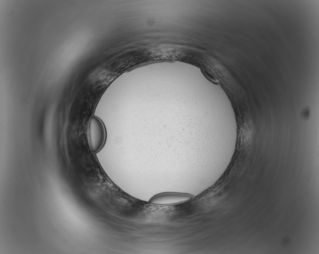 X0000115600429200912011531