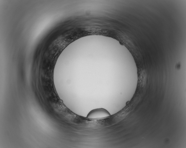 X0000115600430200912011531