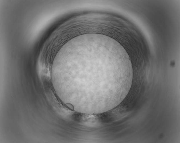 X0000115600431200912011531