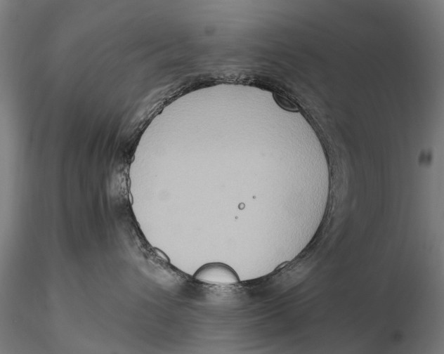 X0000115600432200912011531