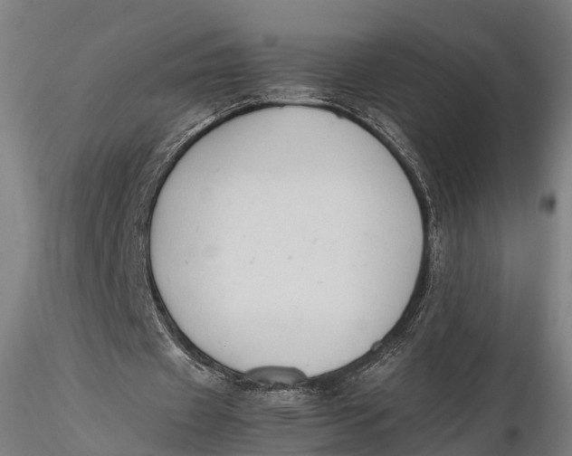 X0000115600433200912011530