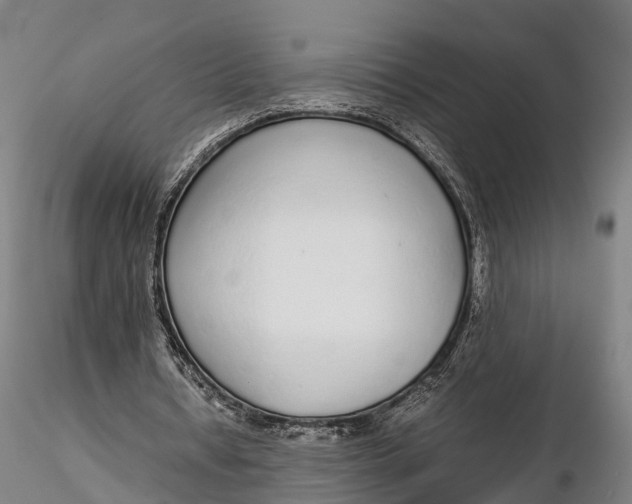 X0000115600434200912011530