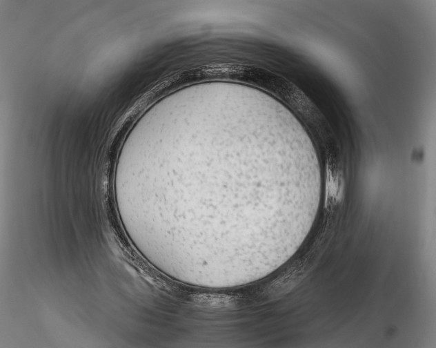 X0000115600435200912011530