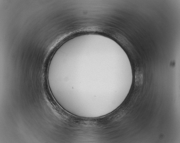 X0000115600436200912011530