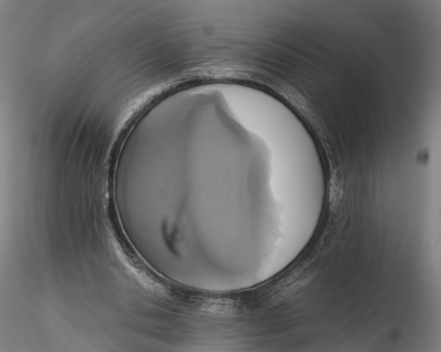 X0000115600438200912011530