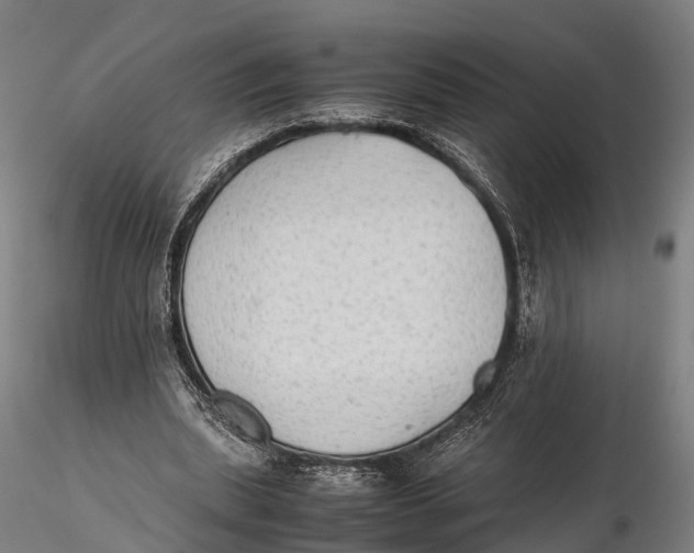 X0000115600439200912011530