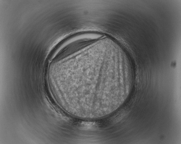 X0000115600440200912011530