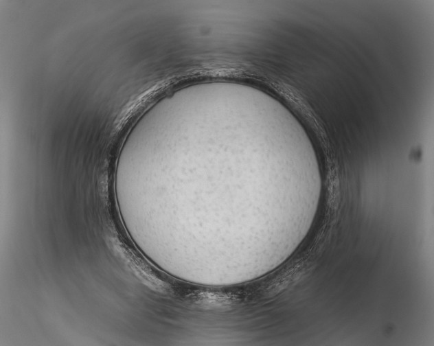 X0000115600442200912011530