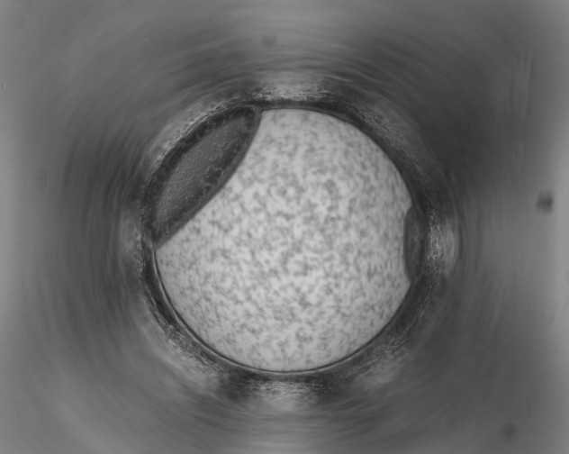 X0000115600444200912011530