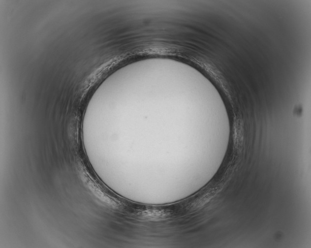 X0000115600445200912011530