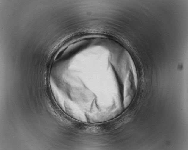 X0000115600446200912011530