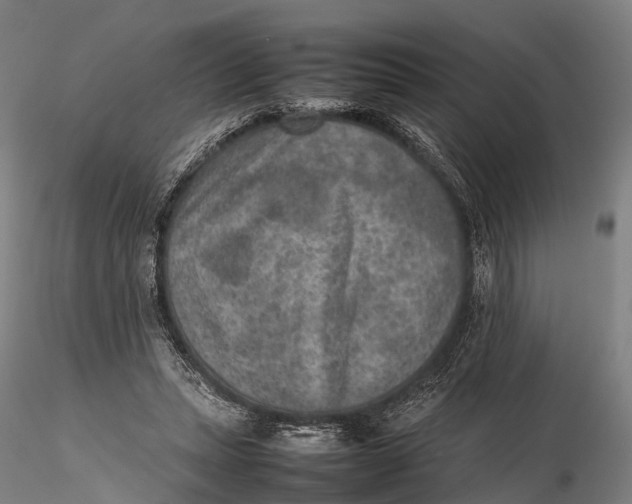 X0000115600447200912011530