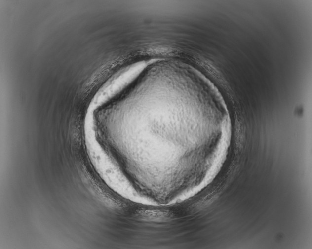 X0000115600449200912011530