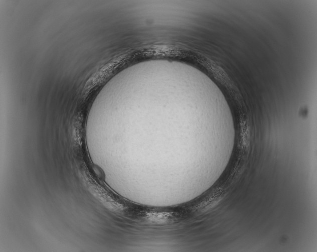 X0000115600450200912011530