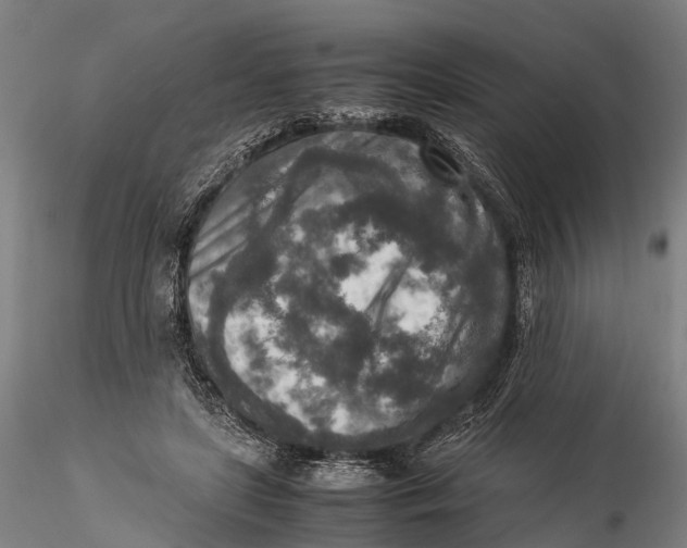 X0000115600451200912011530