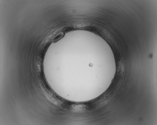 X0000115600452200912011530