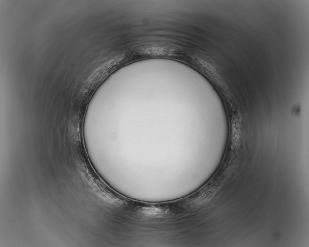 X0000115600453200912011530