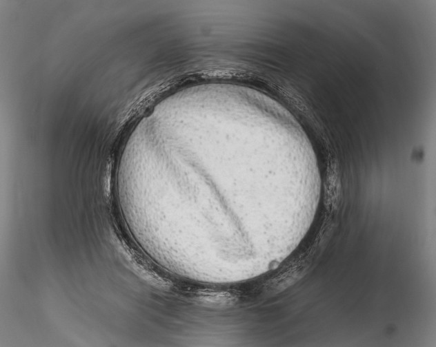 X0000115600454200912011530