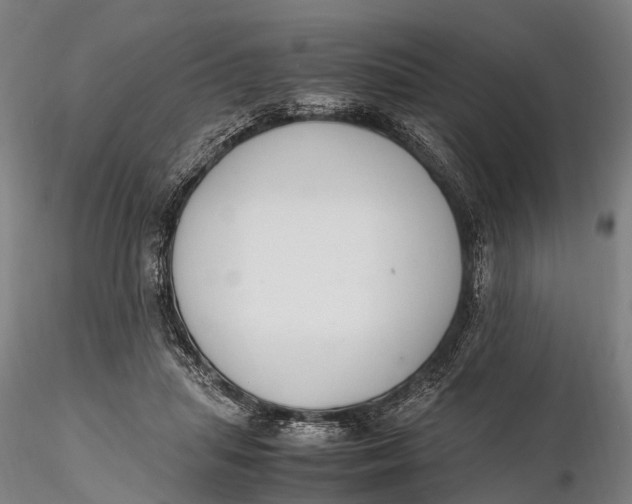 X0000115600455200912011530