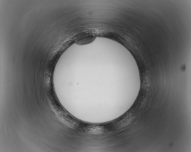 X0000115600456200912011530