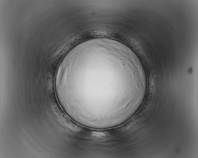 X0000115600457200912011530