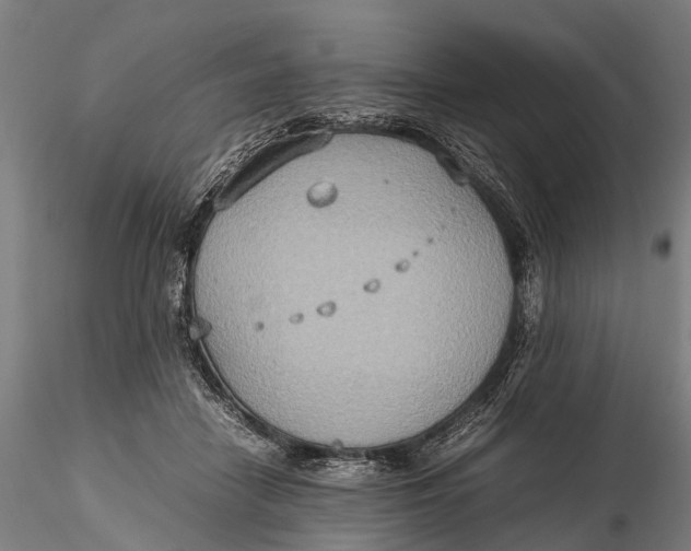 X0000115600458200912011530