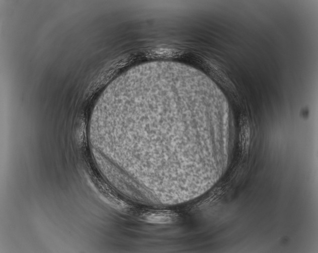 X0000115600459200912011530