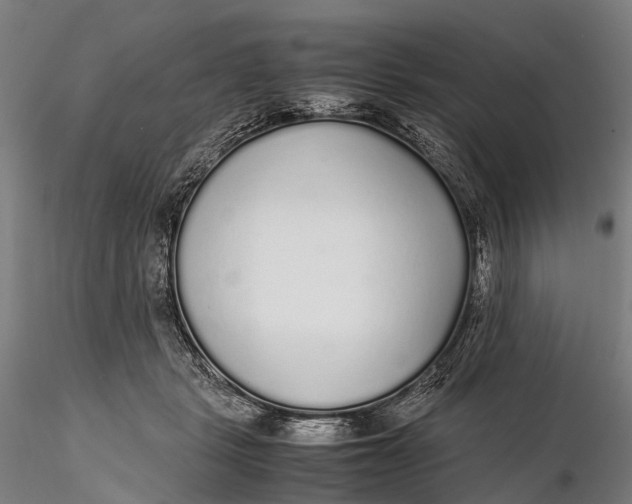 X0000115600461200912011530