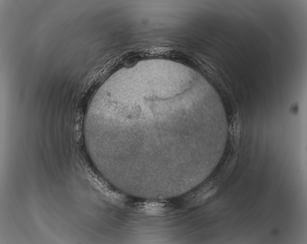 X0000115600462200912011530