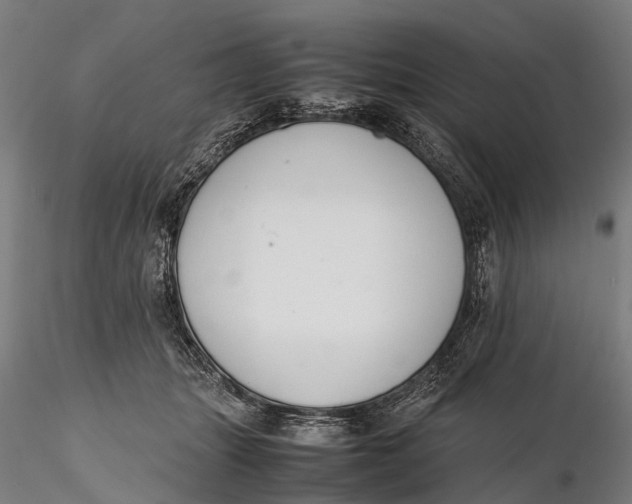 X0000115600463200912011530