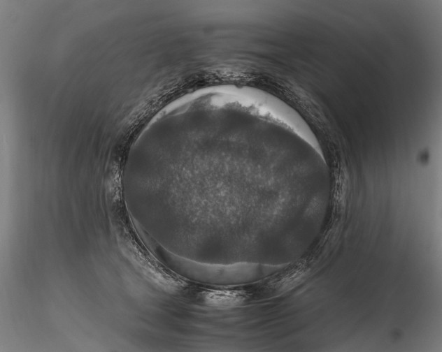 X0000115600465200912011530