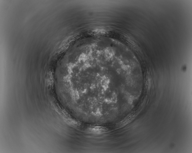 X0000115600467200912011530