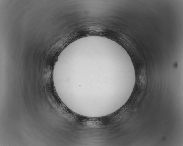 X0000115600468200912011530