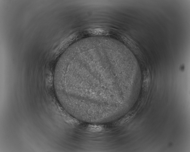 X0000115600469200912011530