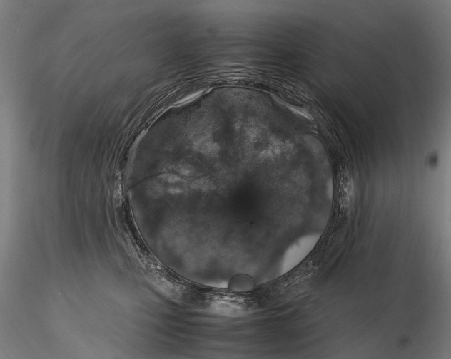 X0000115600471200912011530