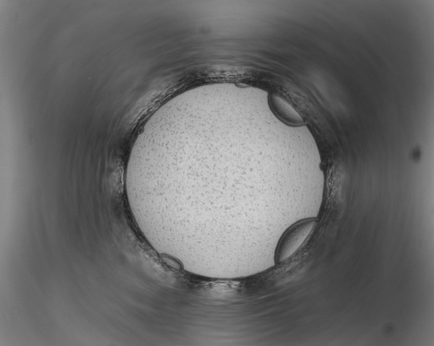 X0000115600474200912011531