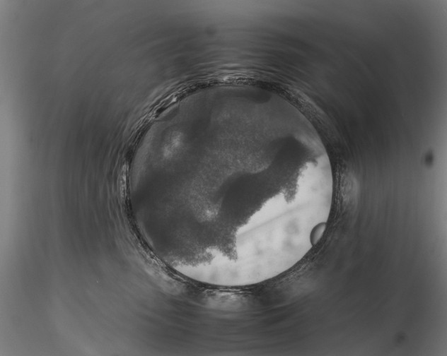 X0000115600475200912011531