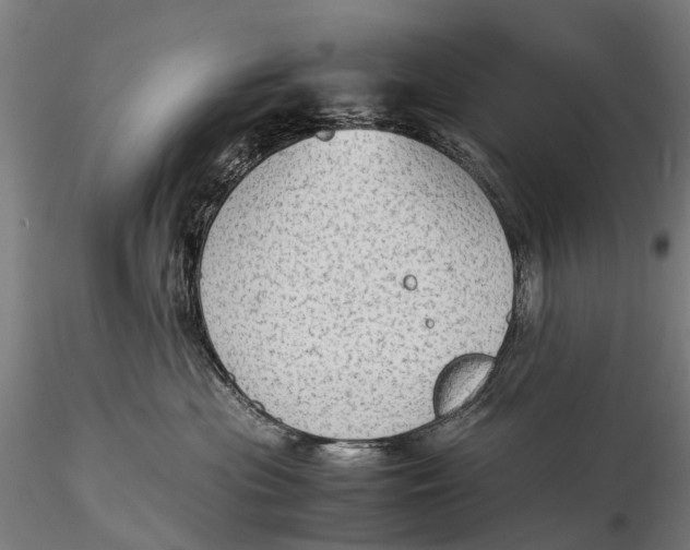 X0000115600477200912011531