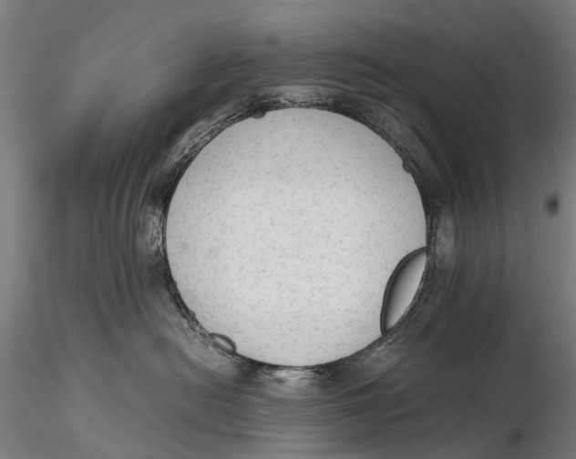 X0000115600478200912011531