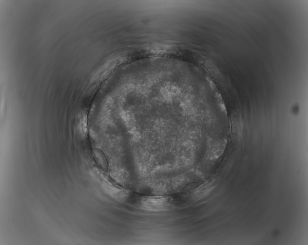 X0000115600479200912011531