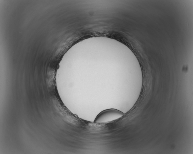 X0000115600480200912011531