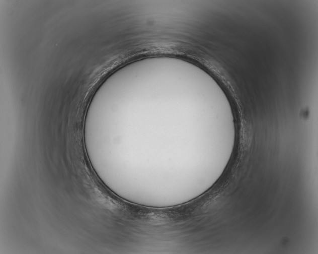 X0000115600481200912011530