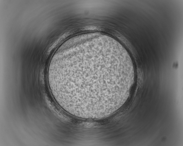 X0000115600482200912011530