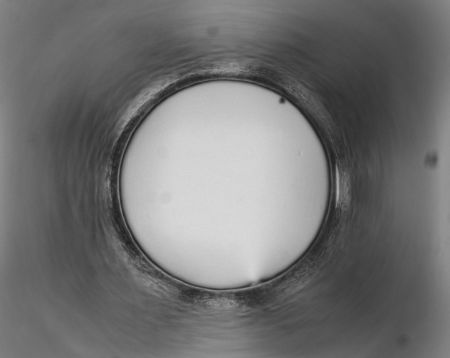 X0000115600483200912011530